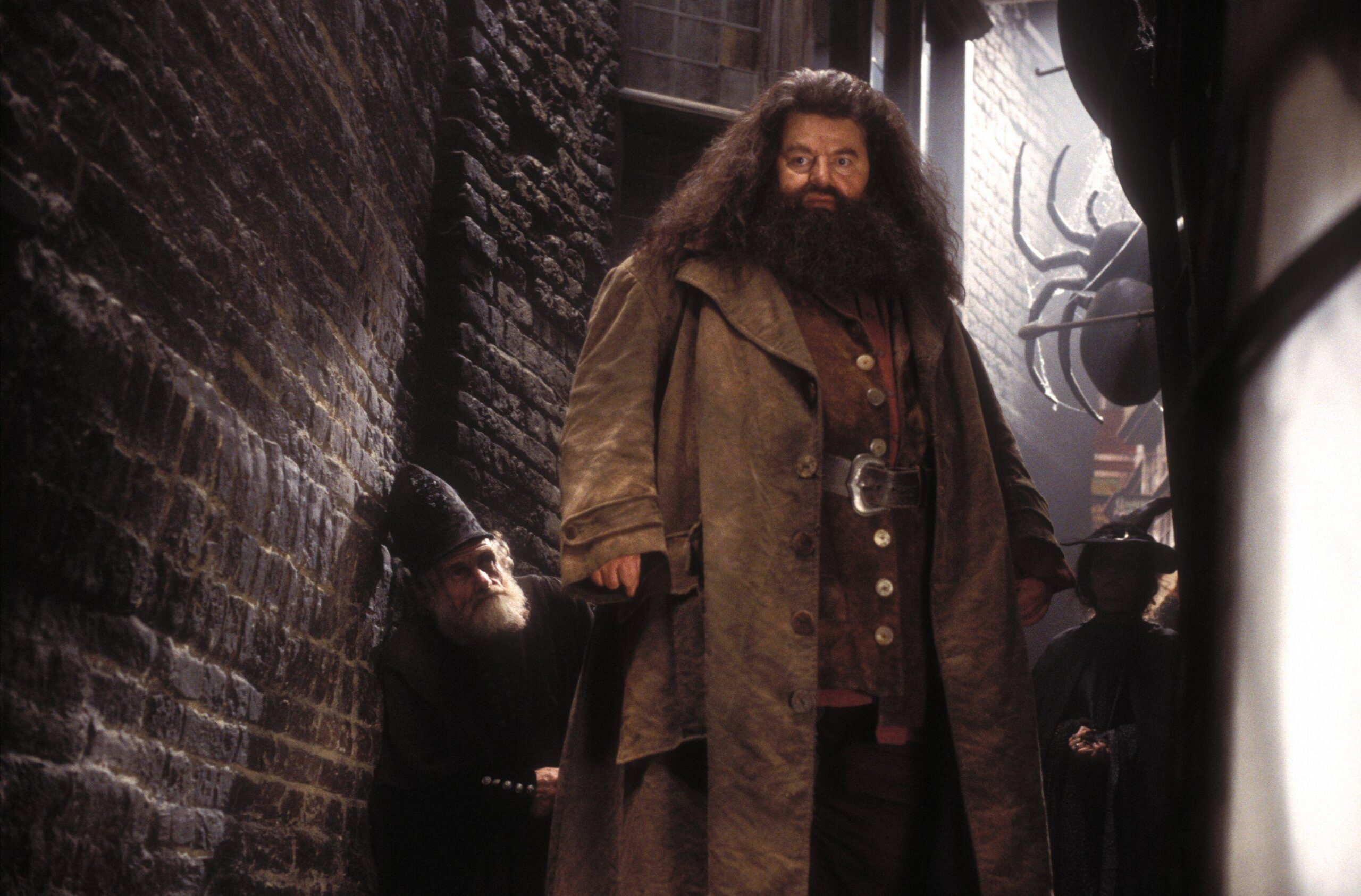 RUbeus Hagrid de la película de Harry Potter