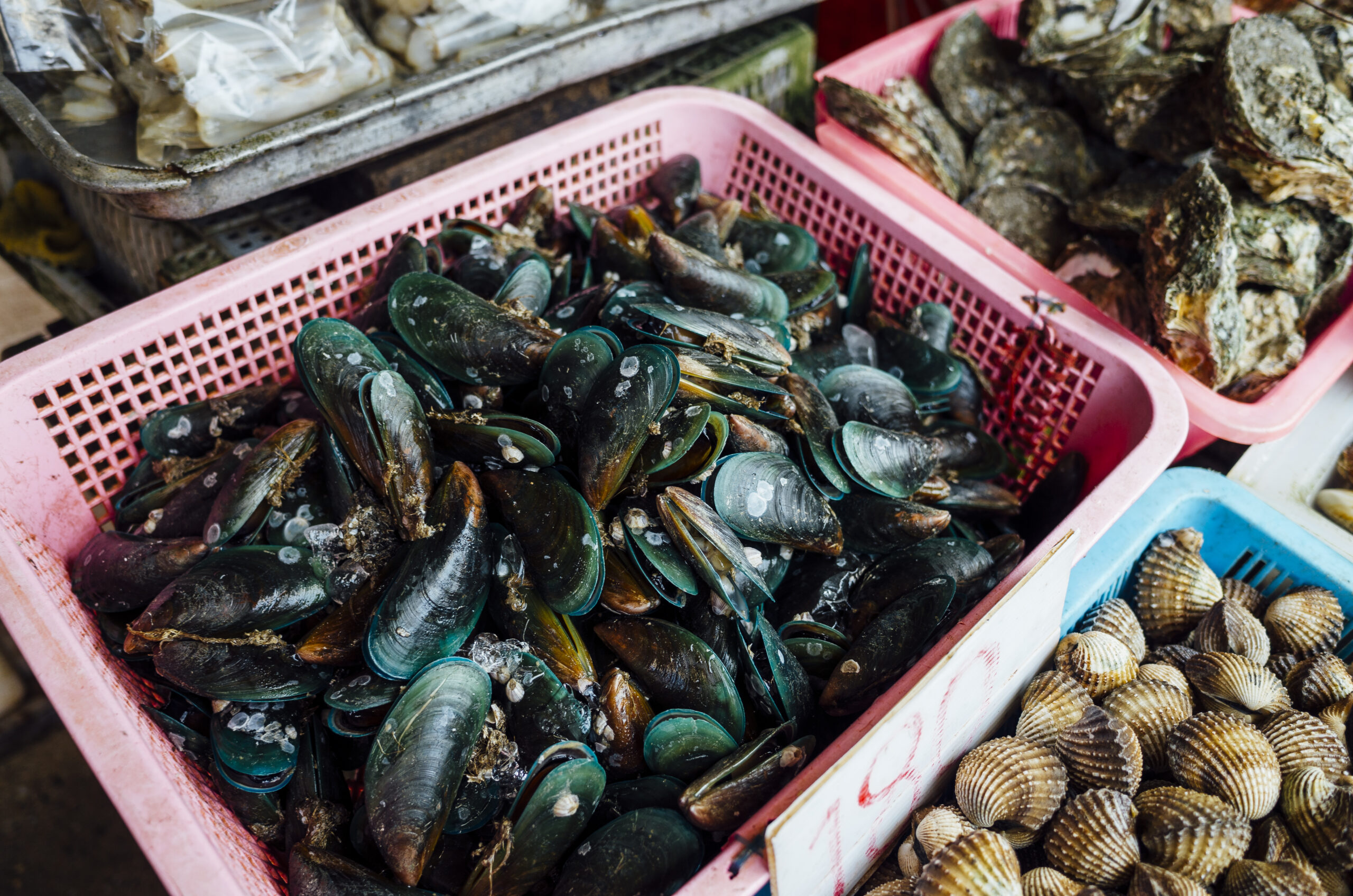 Como saber en que fijarnos al comprar mariscos en Semana Santa